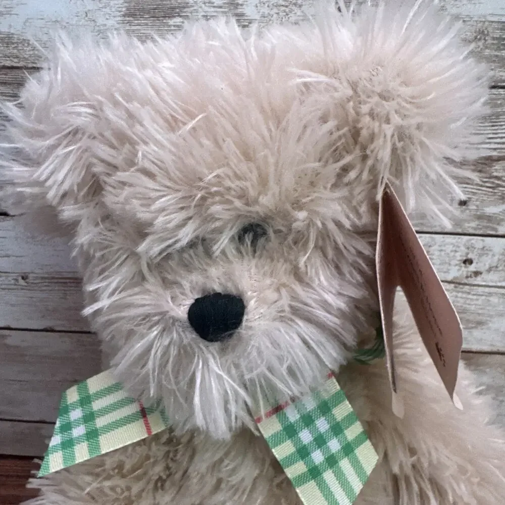Boyds Bears Flowers R Hope New 9